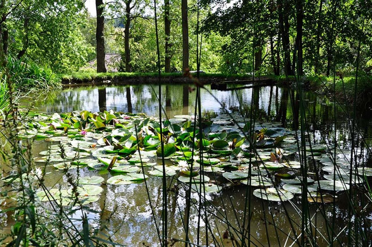 Berg  Landhausgarten Bunzmann מראה חיצוני תמונה